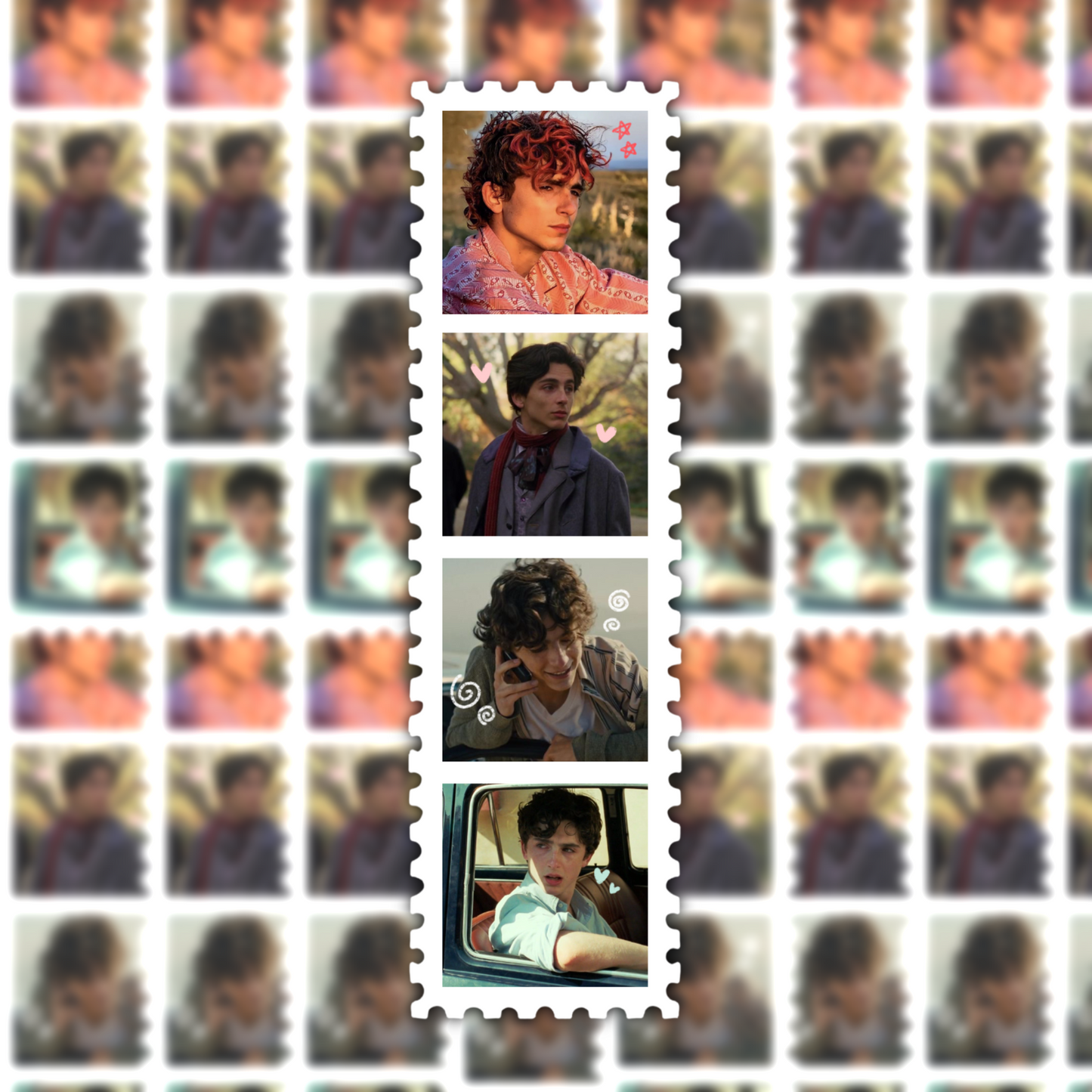 the timothee chalamet waterproof sticker