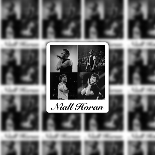 Niall Horan photobooth waterproof sticker