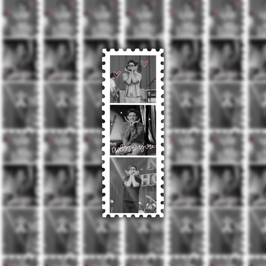 Niall Horan stamp waterproof sticker